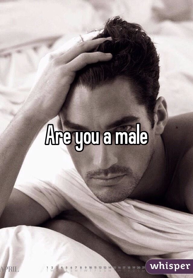 Are you a male