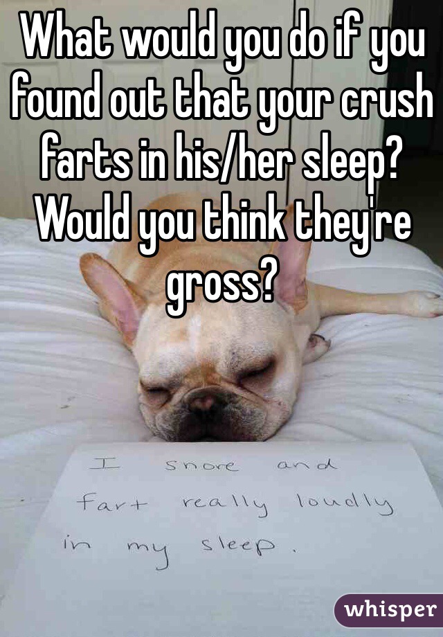 What would you do if you found out that your crush farts in his/her sleep? Would you think they're gross? 