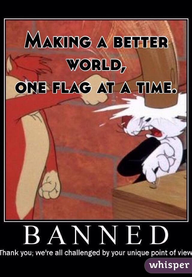 Making a better world,
one flag at a time. 