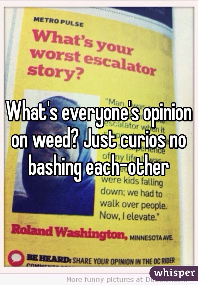What's everyone's opinion on weed? Just curios no bashing each-other 