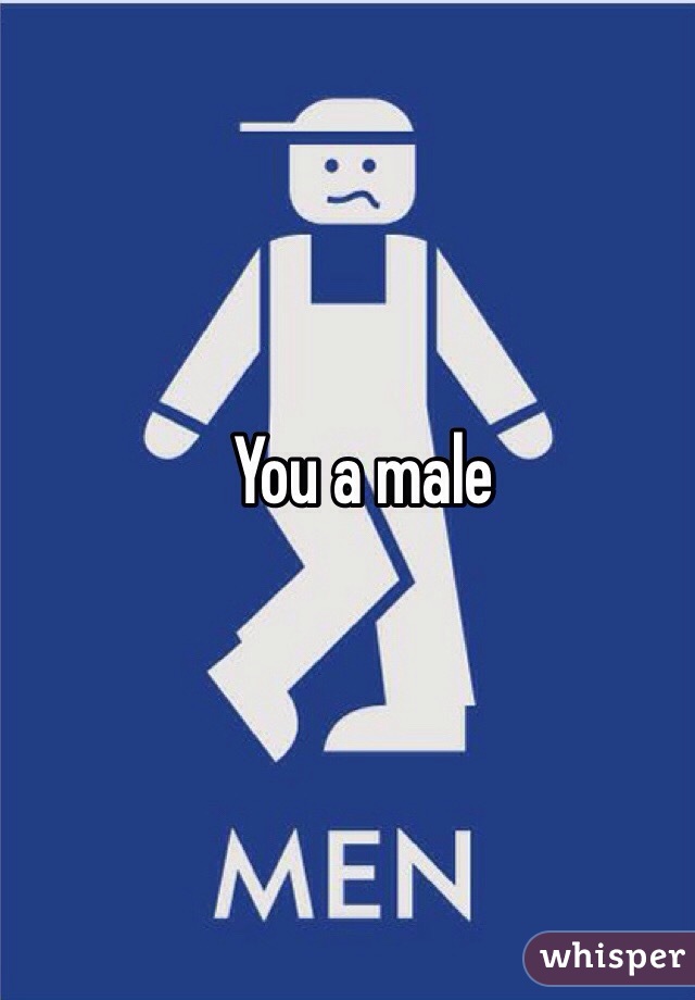 You a male