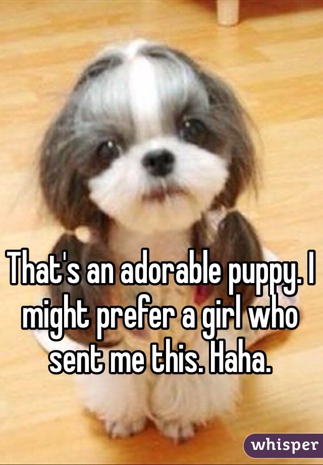 That's an adorable puppy. I might prefer a girl who sent me this. Haha. 