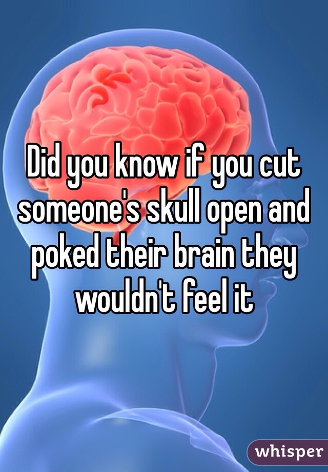 Did you know if you cut someone's skull open and poked their brain they wouldn't feel it 