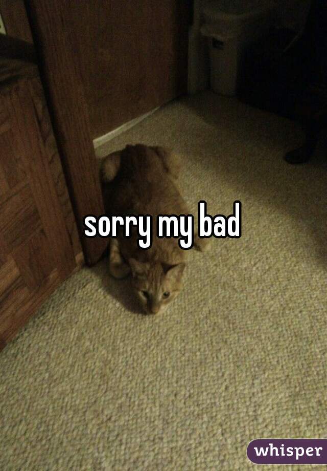 sorry my bad