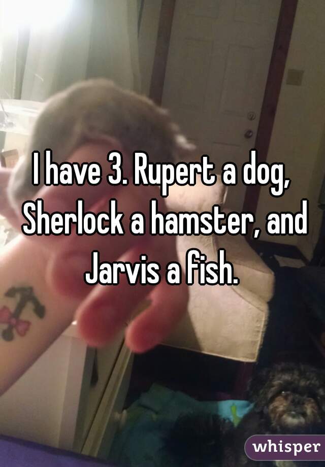 I have 3. Rupert a dog, Sherlock a hamster, and Jarvis a fish. 