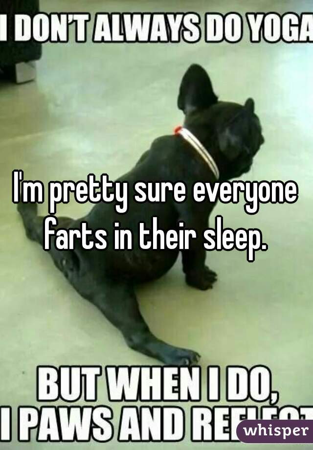 I'm pretty sure everyone farts in their sleep. 