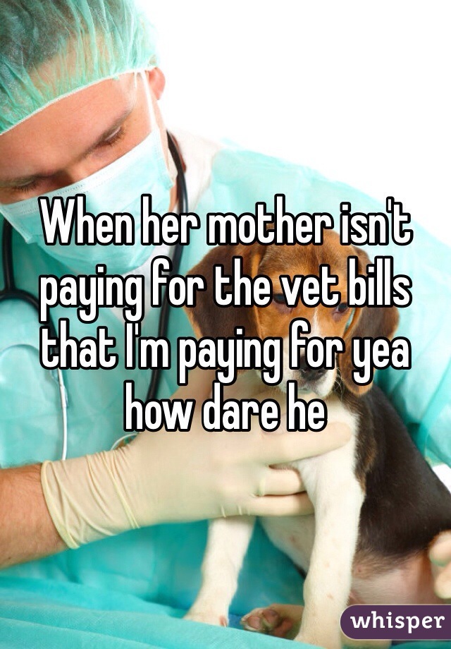 When her mother isn't paying for the vet bills that I'm paying for yea how dare he 