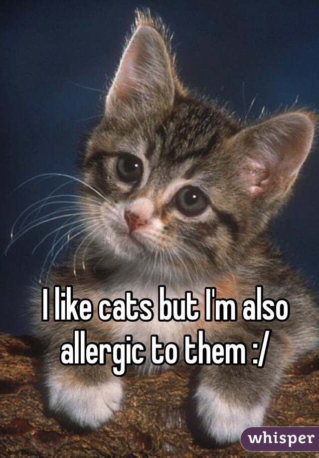 I like cats but I'm also allergic to them :/