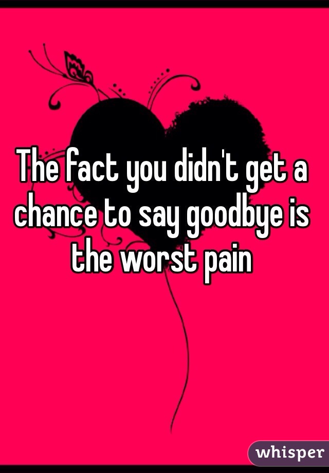 The fact you didn't get a chance to say goodbye is the worst pain 