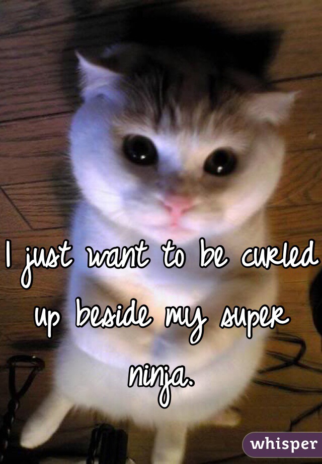 


I just want to be curled up beside my super ninja.