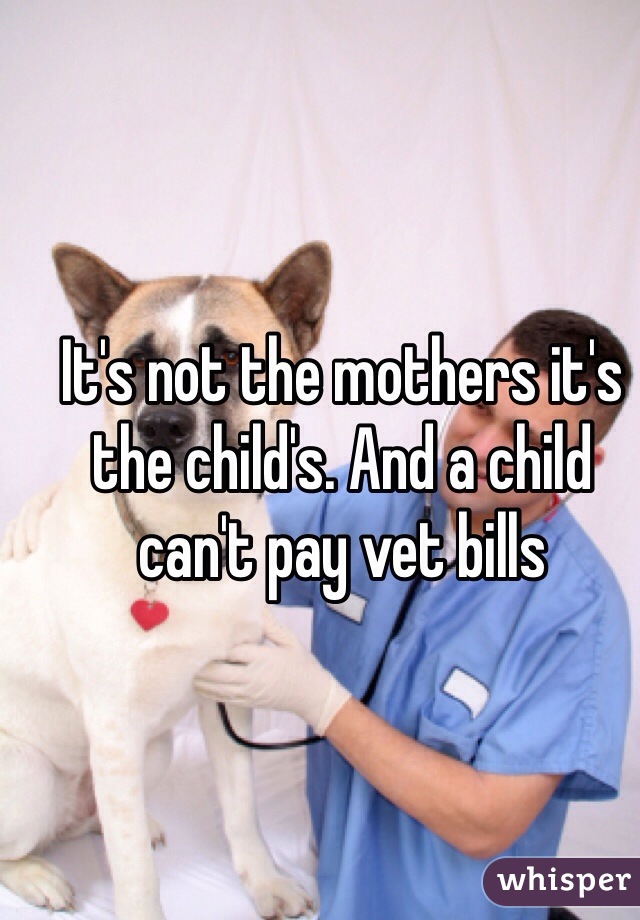 It's not the mothers it's the child's. And a child can't pay vet bills 