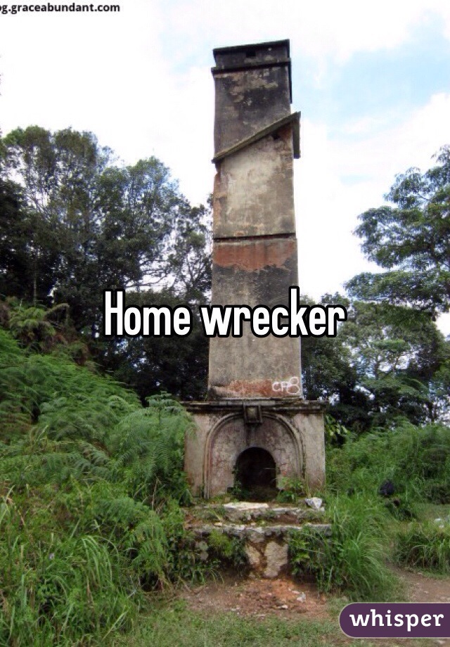 Home wrecker