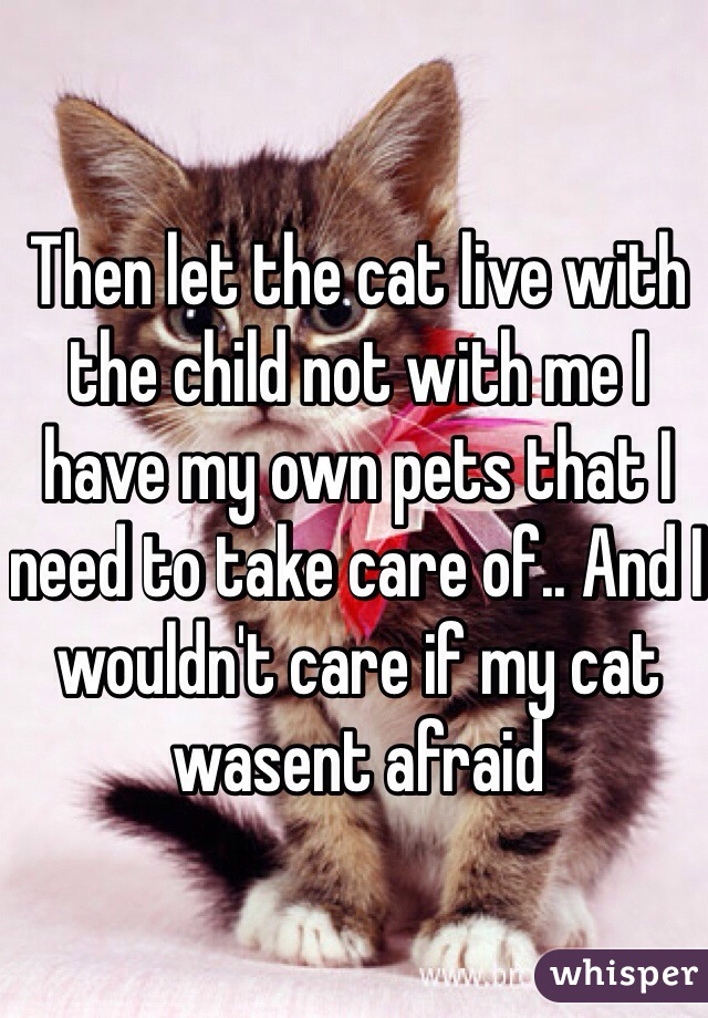 Then let the cat live with the child not with me I have my own pets that I need to take care of.. And I wouldn't care if my cat wasent afraid 