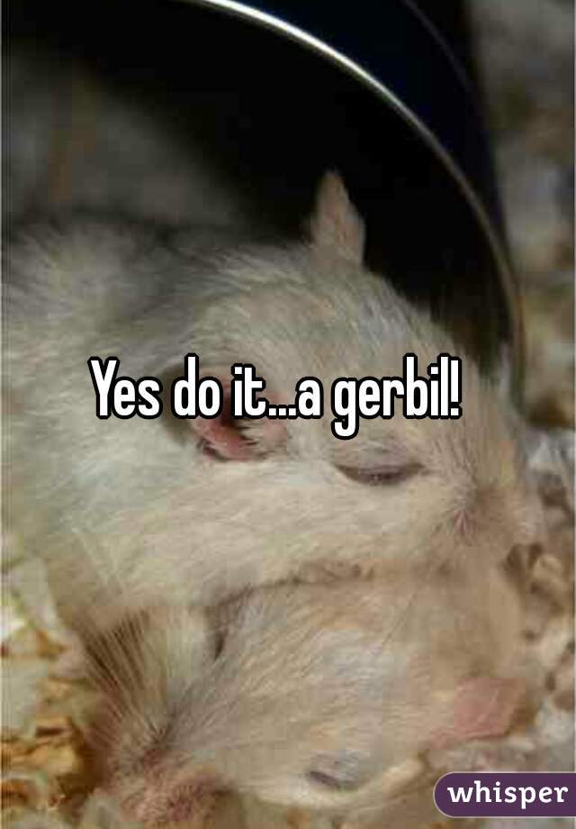 Yes do it...a gerbil!  