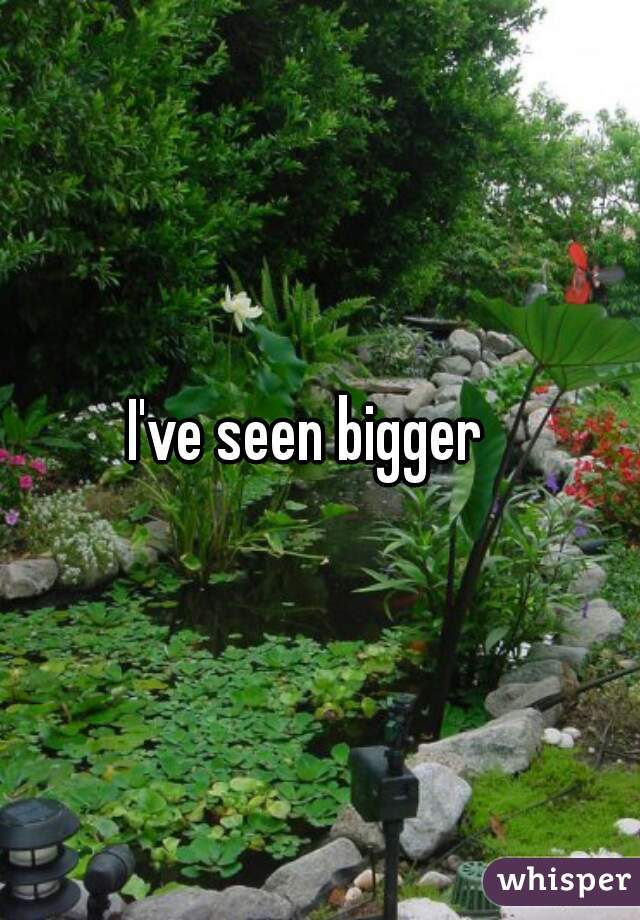 I've seen bigger  