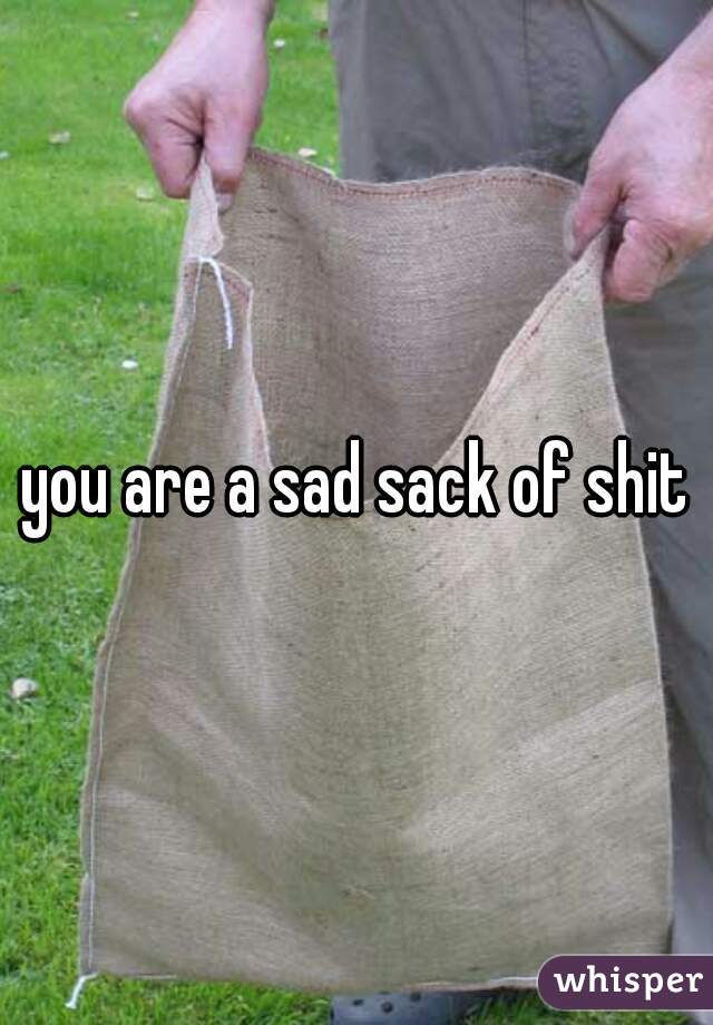 you are a sad sack of shit