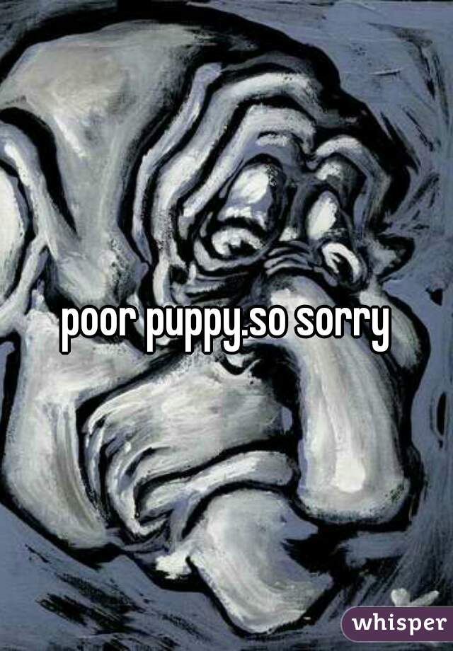 poor puppy.so sorry