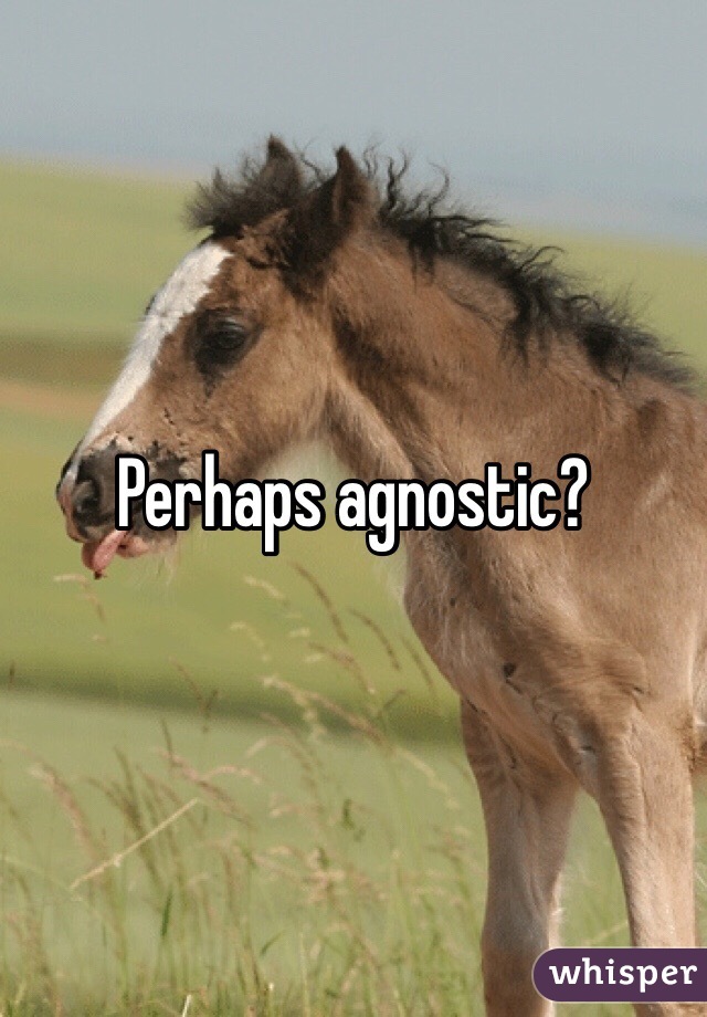 Perhaps agnostic?