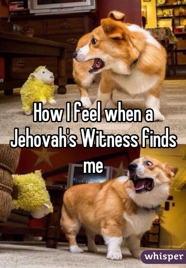 How I feel when a Jehovah's Witness finds me