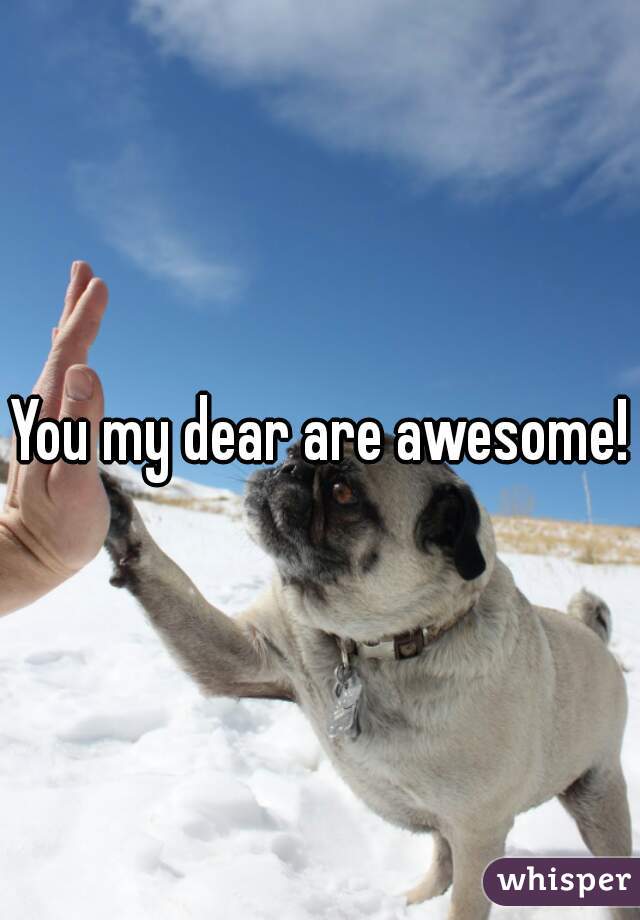 You my dear are awesome!