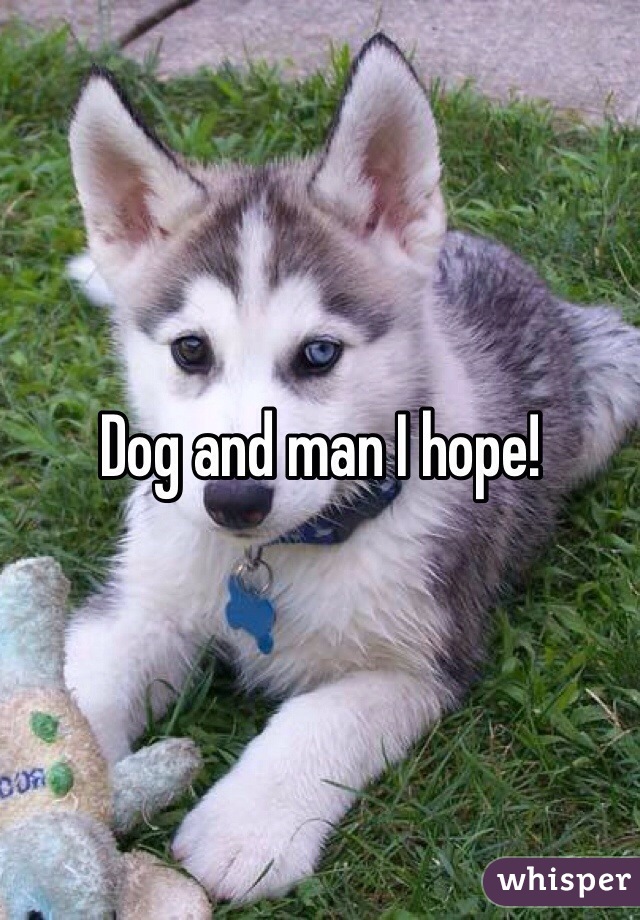 Dog and man I hope!