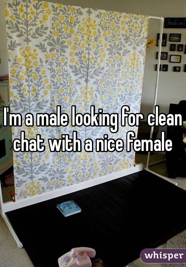 I'm a male looking for clean chat with a nice female