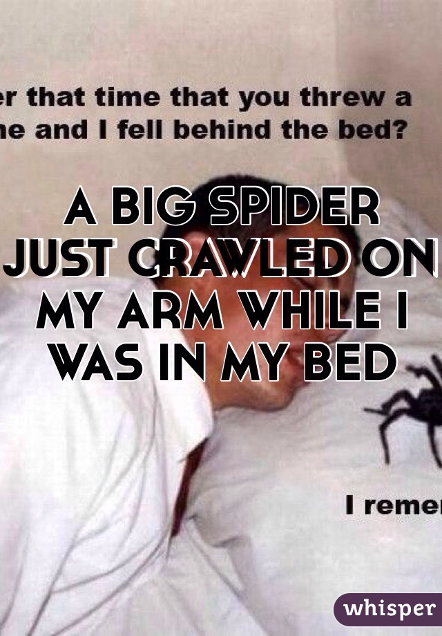 A BIG SPIDER JUST CRAWLED ON MY ARM WHILE I WAS IN MY BED