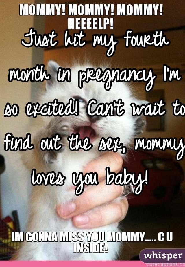 Just hit my fourth month in pregnancy I'm so excited! Can't wait to find out the sex, mommy loves you baby! 