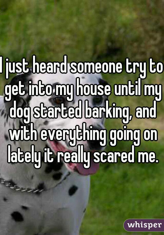 I just heard someone try to get into my house until my dog started barking, and with everything going on lately it really scared me.