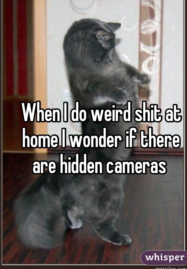 When I do weird shit at home I wonder if there are hidden cameras 