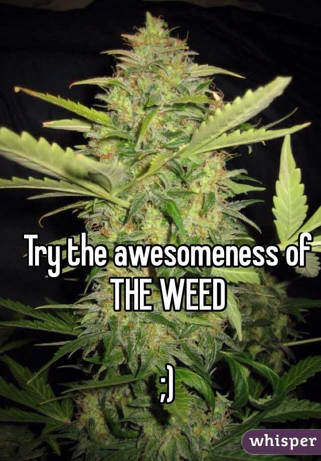Try the awesomeness of 
THE WEED

;)

