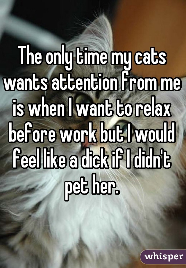 The only time my cats wants attention from me is when I want to relax before work but I would feel like a dick if I didn't pet her.
