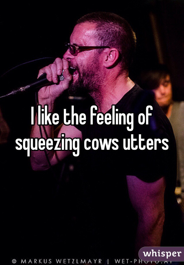 I like the feeling of squeezing cows utters