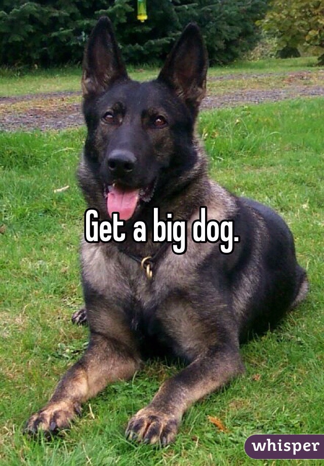Get a big dog. 