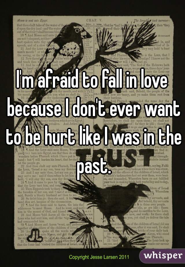 I'm afraid to fall in love because I don't ever want to be hurt like I was in the past.