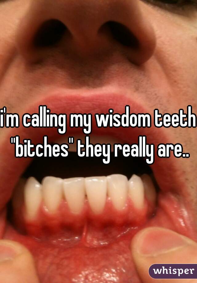 i'm calling my wisdom teeth "bitches" they really are..