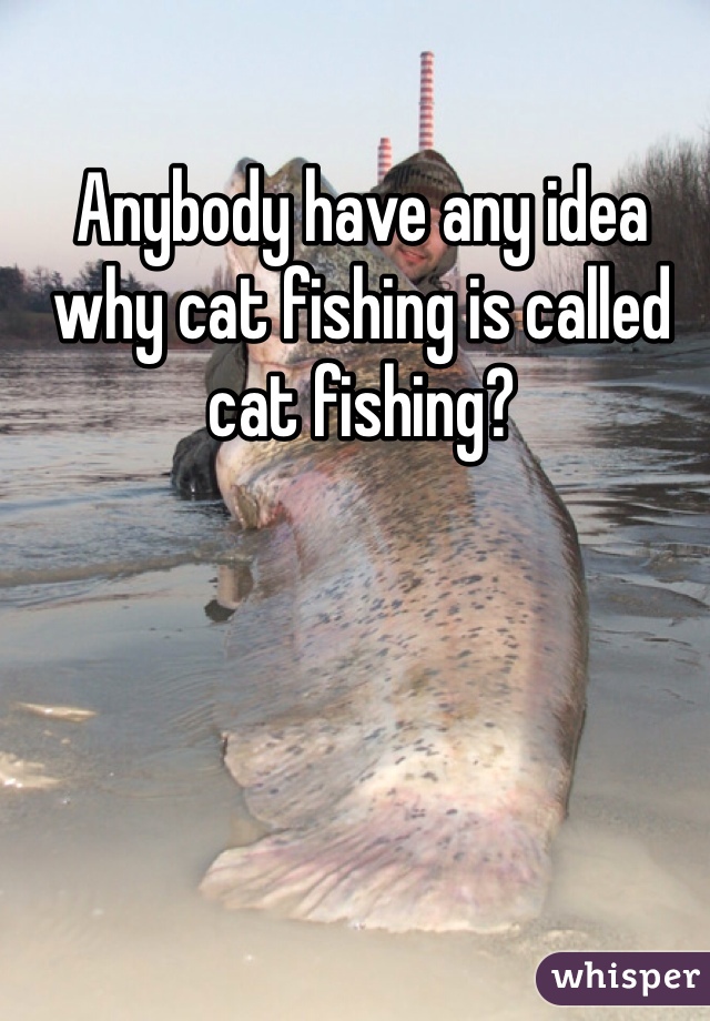 Anybody have any idea why cat fishing is called cat fishing?