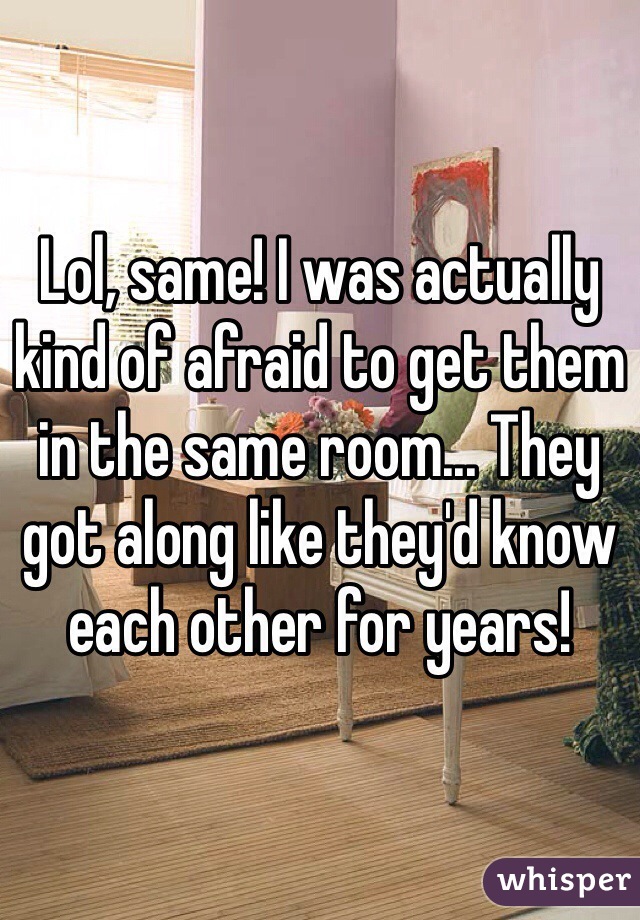 Lol, same! I was actually kind of afraid to get them in the same room... They got along like they'd know each other for years!