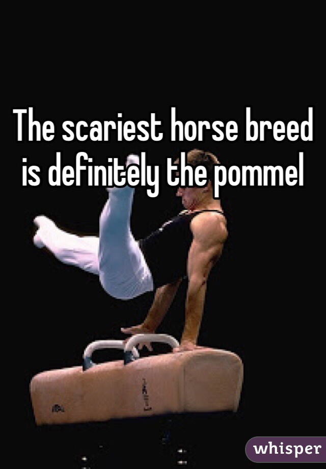 The scariest horse breed is definitely the pommel 
