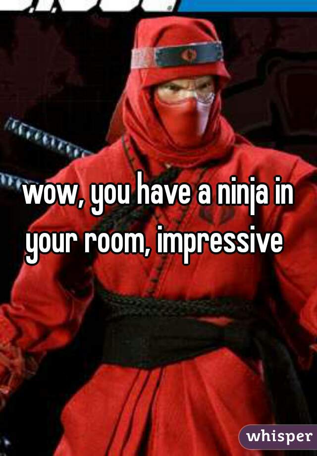 wow, you have a ninja in your room, impressive  