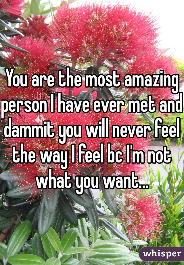 You are the most amazing person I have ever met and dammit you will never feel the way I feel bc I'm not what you want...