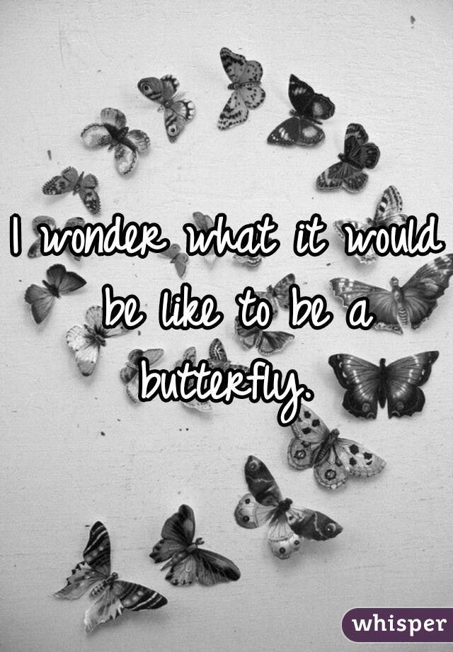 I wonder what it would be like to be a butterfly. 