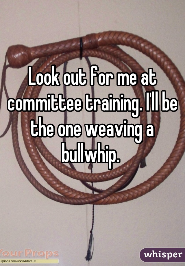 Look out for me at committee training. I'll be the one weaving a bullwhip. 