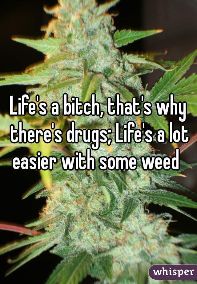 Life's a bitch, that's why there's drugs; Life's a lot easier with some weed  