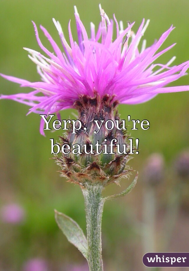 Yerp, you're beautiful!