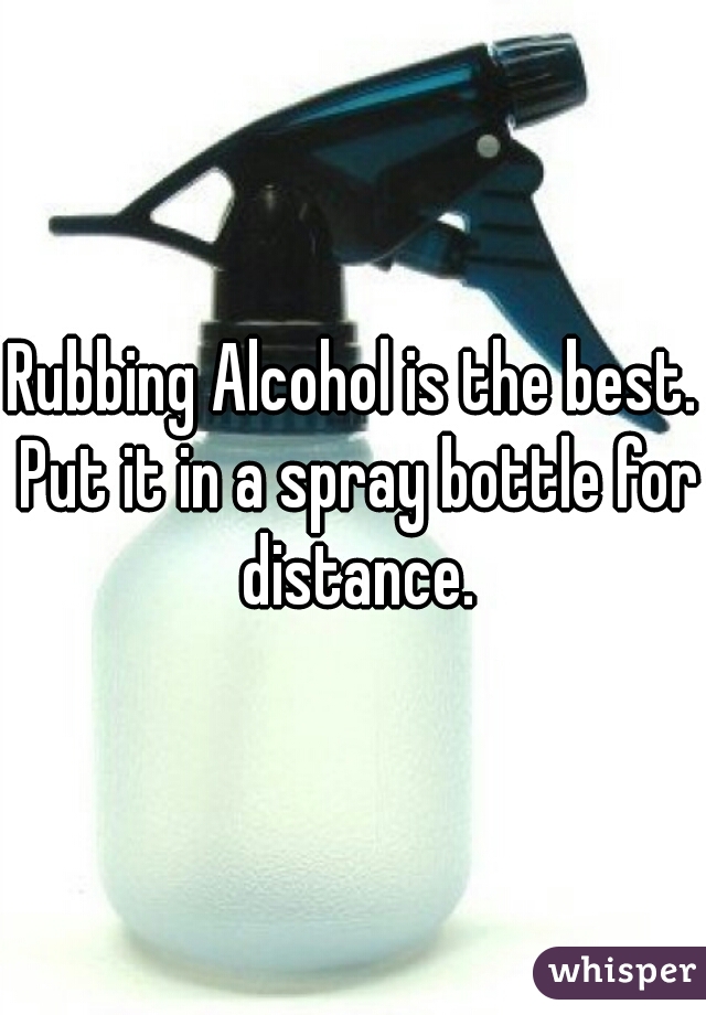 Rubbing Alcohol is the best. Put it in a spray bottle for distance.