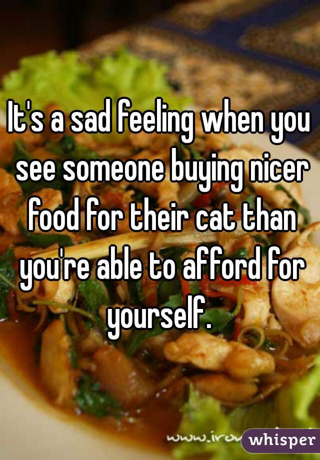 It's a sad feeling when you see someone buying nicer food for their cat than you're able to afford for yourself. 