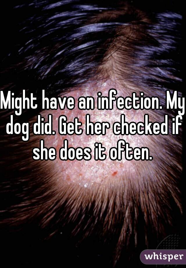 Might have an infection. My dog did. Get her checked if she does it often. 
