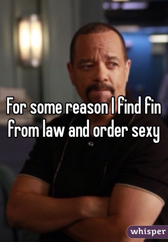 For some reason I find fin from law and order sexy 