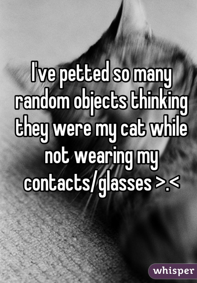 I've petted so many random objects thinking they were my cat while not wearing my contacts/glasses >.<